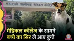 jhansi