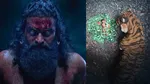 Kantara Chapter 1 Movie Review, Rishab Shetty