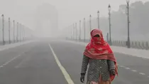 what is smog and what harm does smog cause to the body 