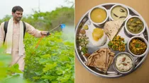 how do pesticides contribute to heart blockages & effective ways to properly clean fruits vegetables