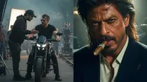 shah rukh khan, king,