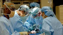 Kidney Transplant, National Organ and Tissue Transplant Organization