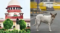 supreme court on stray dogs
