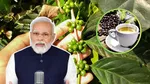 Koraput coffee narendra modi