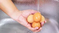 why should you wash eggs before cooking