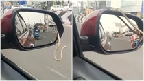 Tamil nadu shocking video viral snake came out from side mirror of car
