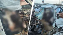 MP Gwalior-Jhansi Highway Fortuner Accident Five Young Men Lost Life