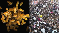 India At The Epicentre Of Superbug Explosion Antibiotic Resistance Crisis Lancet Study