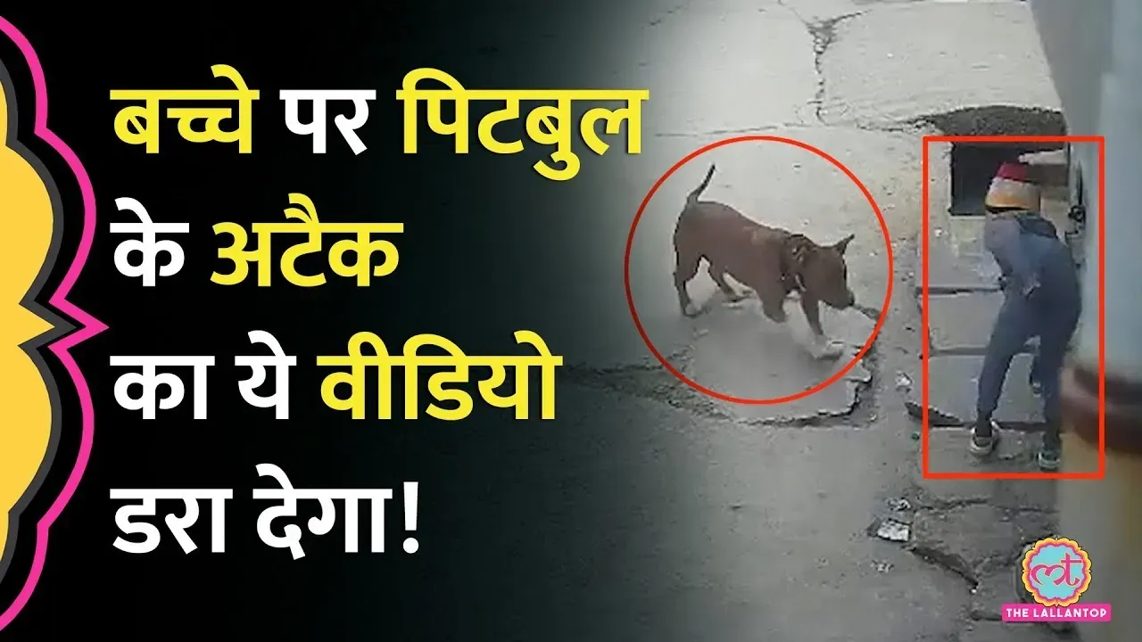 related-article-banner-image