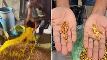 is roasted chana sold in markets coated with banned dye auramine o viral video sparks concern