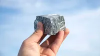 Rare earth Magnets