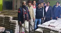 moradabad food department seize more than 80 thousand fake coloured desi eggs