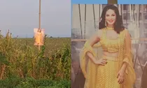Sunny Leone photo in farm, Sunny Leone photo to protect corp
