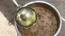 MP Gwalior dead frog found inside mid meal of primary school video viral