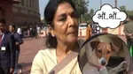 Renuka Chowdhary on dog controversy