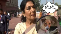 Renuka Chowdhary on dog controversy