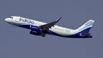 IndiGo, IndiGo flight, IndiGo flight time, IndiGo flight cancel, IndiGo flight dealy, dgca, dgca indigo, indigo customer care