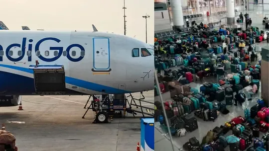 indigo