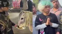 gurugram boy fed chicken to cow 