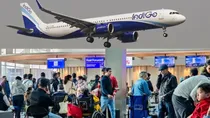 how indigo monopoly in indian aviation market makes it impossible to boycott key details
