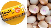 what is the issue with antibiotics found in Eggoz eggs and can they increase the risk of cancer