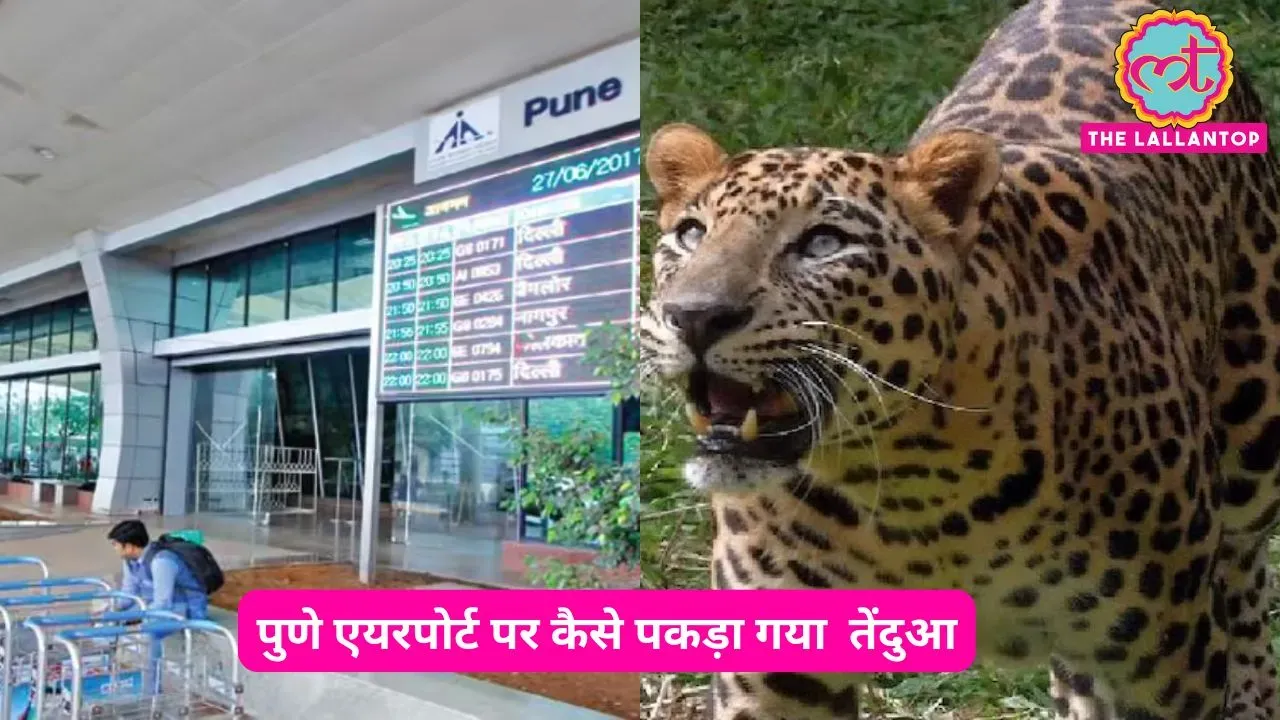 related-article-banner-image