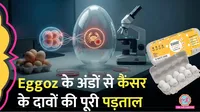 Eggoz: 'Cancer-causing chemical' in eggs viral video?