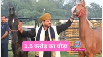 brij bhushan sharan singh gonda gets horse worth 1.5 crore rupees in gift by karan bhushan friend