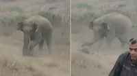 Elephant, Ramgarh, Elephant Ramgarh, Elephant killed, elephant news