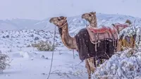 Saudi Arabia sees first snowfall in 30 years Why is it snowing in the desert?