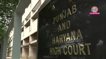 Punjab Haryana high court 