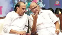 Ajit Pawar, Sharad Pawar, ncp, ncp sharad, pimpri chinchwad, pimpri chinchwad municipal corporation, maharashtra, maharashtra local body elections, maharashtra elections