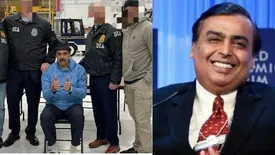 related-article-banner-image