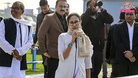 related-article-banner-image