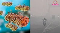 superbugs in delhi air what are supbugs and why are they harmful 