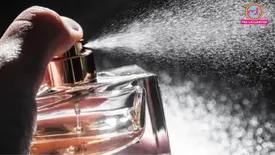 related-article-banner-image