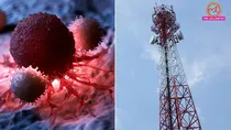 Do Cell Phone Towers Cause Cancer