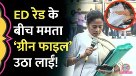 related-article-banner-image