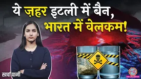 related-article-banner-image