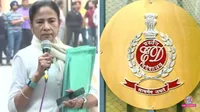 mamta on ed raid pettion calcutta high court 
