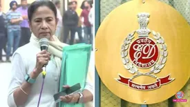 related-article-banner-image