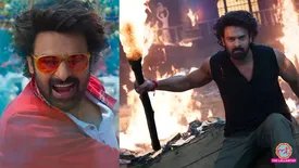 related-article-banner-image