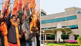 related-article-banner-image