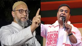 related-article-banner-image