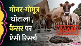 related-article-banner-image