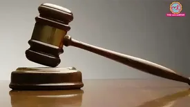 related-article-banner-image