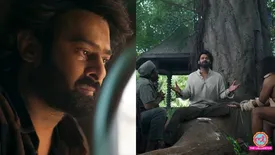 related-article-banner-image