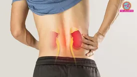 related-article-banner-image