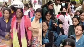 related-article-banner-image