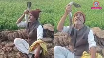 Rampur Playing with Cobra Turns Fatal, 50-Year-Old Man Dies After Being Bitten Three Times Video Viral